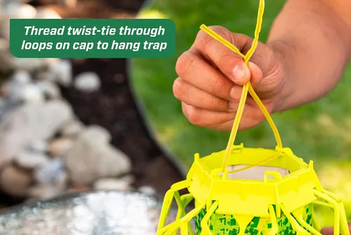 Vista 8 de RESCUE! VisiLure® TrapStik para avispas, barro, abejas carpinteras, paquete de 2