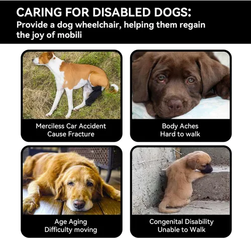 Vista 12 de [Usado] Dog Wheelchair for Back Legs,Adjustable Lightweight Aluminum Profile Pet Wheel Chair Has Added Hand-Carrying Assistance and Reflective