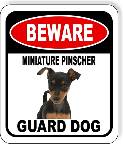 Vista 5 de BEWARE BASSETT HOUND GUARD DOG - Letrero compuesto de aluminio para exteriores, 8.5 x 10 pulgadas CUIDADO BASSETT HOUND GUARD PERRO
