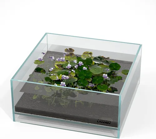 Vista 11 de LANDEN 25C 3.7 Galones Cubo Tanque de Acuario Sin Montura de Hierro Bajo, W9.84×D9.84×H9.84 pulg(25x25x25cm) 5mm de Grosor con Almohadilla