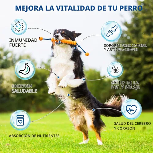 Vista 2 de Multivitamínico para perros, vitaminas y suplementos masticables 40 en 1 para perros, contienen probióticos, Omega-3, glucosamina, multivitamínico