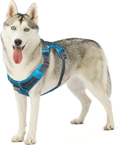Vista 20 de Outward Hound Boulder Adventure - Arnés ajustable para perro con bolsillos, turquesa, mediano