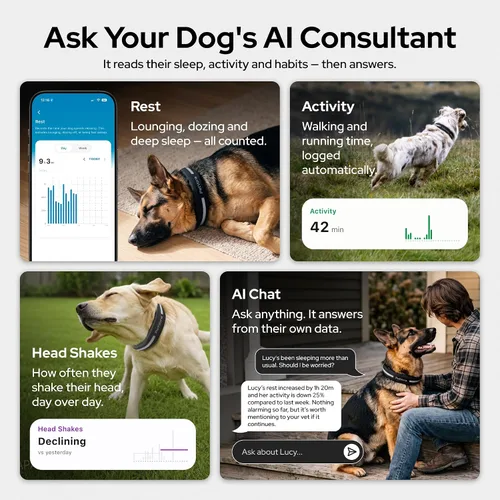 Vista 8 de Collar inteligente GPS para perro, seguimiento en tiempo real