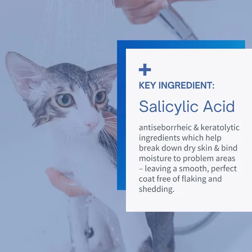 Vista 4 de Champú medicado antiseborreico para perros y gatos, 12 onzas