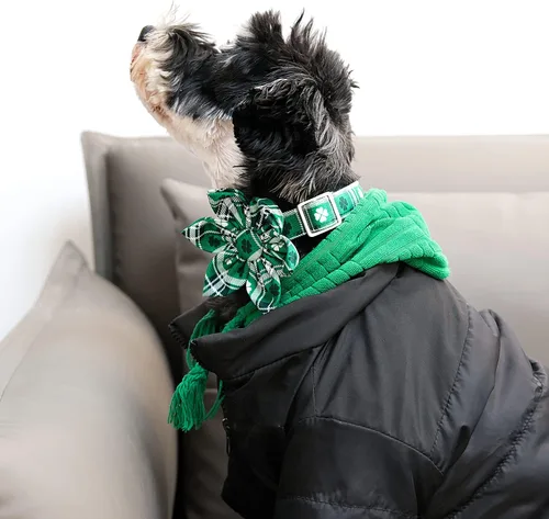 Vista 155 de Lionet Paws Collar de perro de Halloween con corbatín, bonito collar de algodón ajustable con hebilla de metal para perros pequeños, medianos y A
