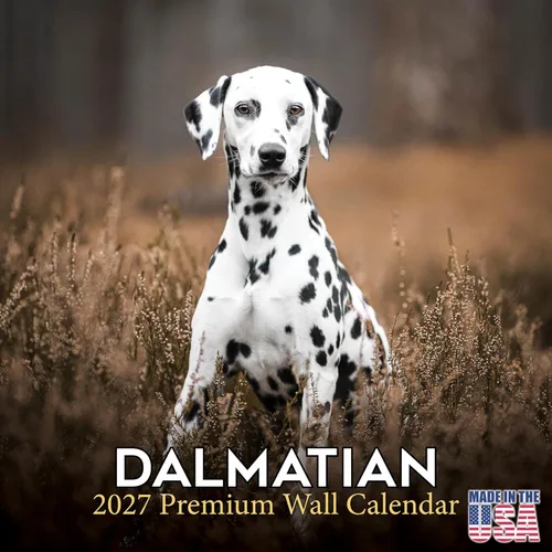 Vista 117 de Calendario de Lebrel Afgano 2025 2026, calendario mensual de pared de raza canina, 12" x 18" abierto, papel grueso sin traspaso, ideal para regalo