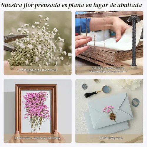 Vista 2 de 50 piezas de flores secas prensadas para el aliento del bebé Mini Rosa