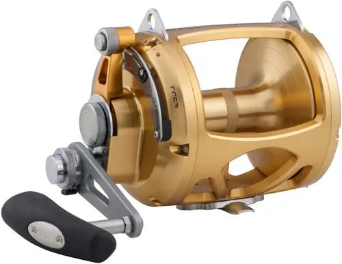 Vista 20 de Penn International VI - Carretes de pesca convencionales (todos los modelos y tamaños)
