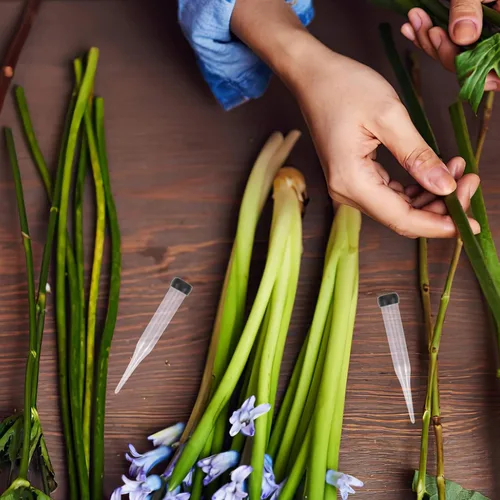 Vista 6 de 50 tubos de agua florales con púas de anclaje, tubo de nutrición de flores de plástico, tallos de flores, tubos de agua para flores frescas
