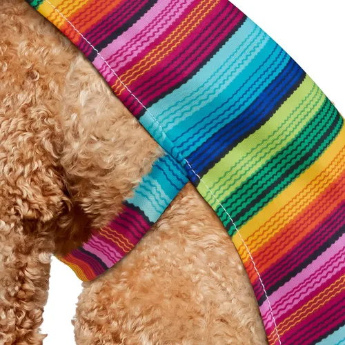 Vista 5 de Disfraz para mascotas de Halloween, colección clásica, L, Azul