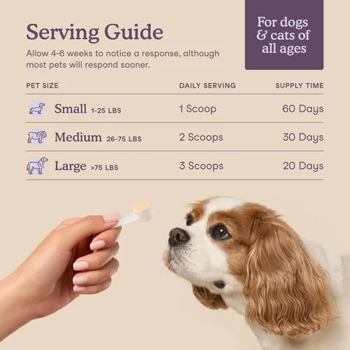 Vista 4 de Fera Pets Suplemento calmante para perros y gatos con probióticos, L-teanina y ashwagandha, apoya el alivio de la ansiedad, promueve la relajación