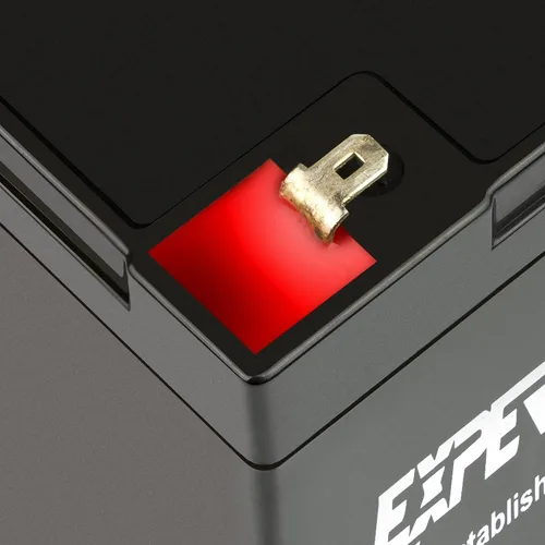 Vista 6 de ExpertPower Terminal F1 de batería de plomo sellada SLA de 6V 12Ah F1/reemplazo para Portalac GS PE6V13 (paquete de 2)