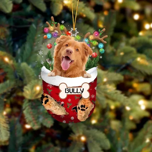 Vista 47 de IZI POD Affenpinscher Adorno de Navidad personalizado para perro, adorno de bolsillo de nieve para perro para árbol de Navidad, adorno acrílico