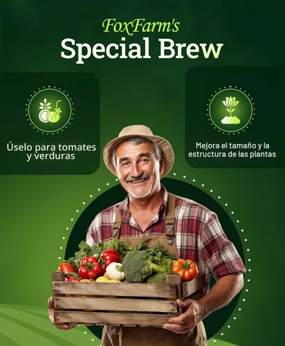 Vista 3 de Hydrofarm FX14094 Grow Big Hydro - Concentrado de alimento para plantas, 1 pinta., 1