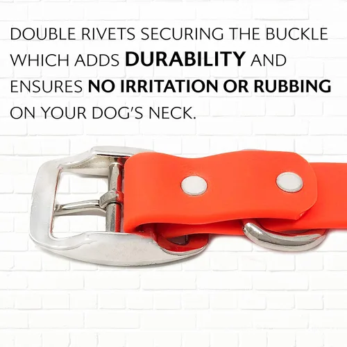 Vista 9 de Regal Dog Products Collar de Perro Naranja Mediano con Placa de Nombre Grabada Personalizada - Ajuste Personalizado, Resistente, Fácil de Limpiar