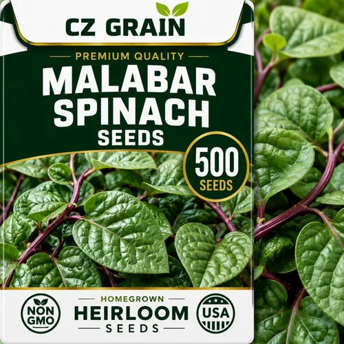 Vista 75 de CZ Grain Semillas para plantar, 40 pequeñas mezclas de calabaza