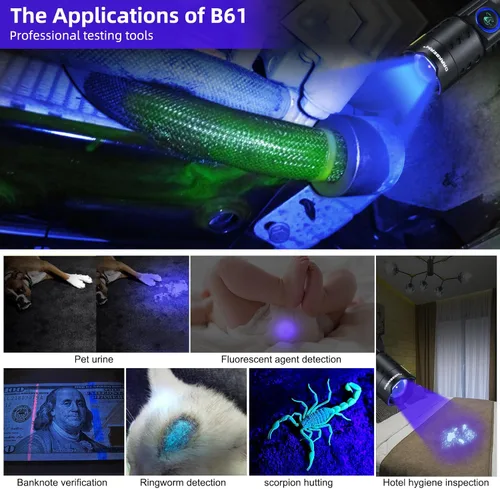 Vista 6 de DARKBEAM Linterna UV 365nm LED de luz negra, linternas ultravioleta UV 365 NM (azul)