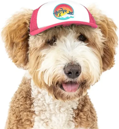 Vista 39 de Sunset Collection, sombreros de camionero de PupLid para perros (XXS) Protección solar elegante de alta calidad para el perro moderno, ajustable