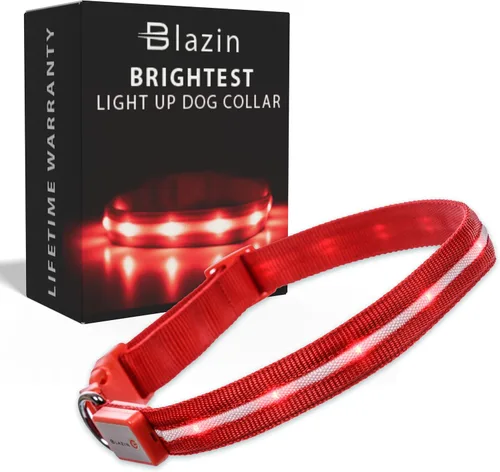 Vista 14 de Blazin - Collares luminosos para perros, collar led original para perros con 1,000 pies de visibilidad, recargable mediante USB e impermeable