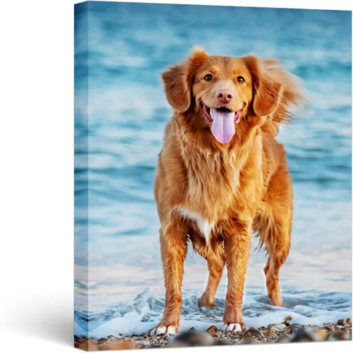 Vista 10 de WEGA Impresiones en lienzo personalizadas con tus fotos (6 pulgadas de ancho x 8 pulgadas de alto) lienzo personalizado para dormitorio, sala