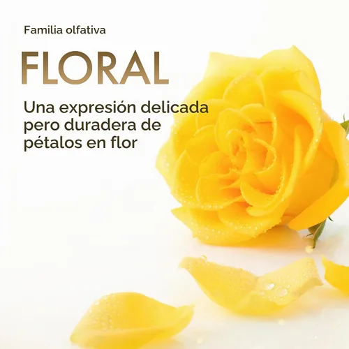 Vista 3 de Perfumer's Workshop Tea Rose Eau de Toilette en espray para mujer, perfume clásico floral rosa, 3.4 onzas líquidas