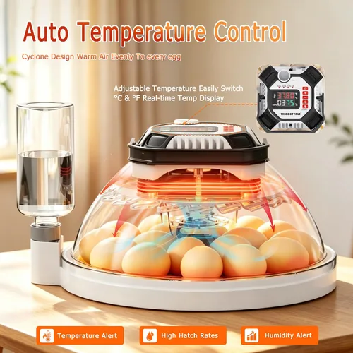 Vista 10 de Incubadoras de huevos de triocottage para incubar huevos, control de temperatura y humedad