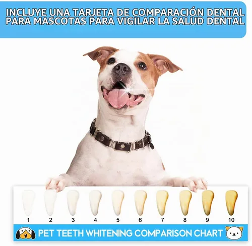 Vista 6 de Kit de cepillo de dientes para perros pequeños y cachorros, cerdas