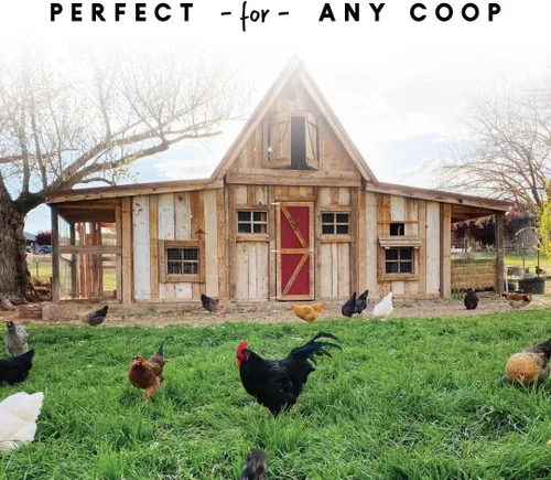 Vista 2 de Bebedero para aves de corral Harris Farms, doble pared, Plateado