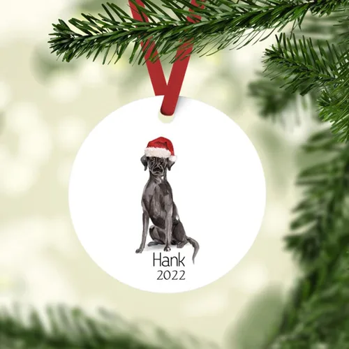 Vista 19 de Adornos de Navidad personalizados para perros, Adorno personalizado de perro boyero de Berna de Zmoicky, Adorno conmemorativo personalizado