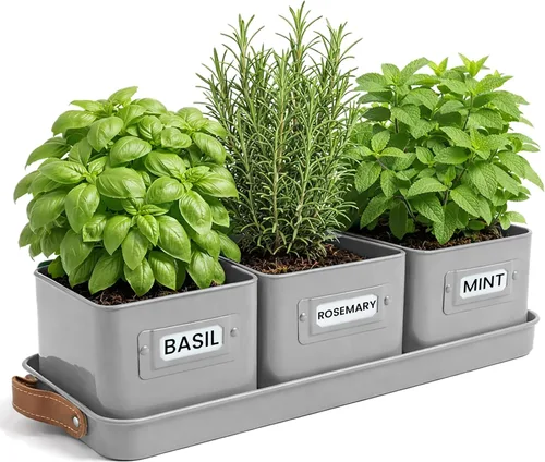 Vista 10 de volila - Juego de 3 macetas para hierbas de interior, color negro, con bandeja con asa de cuero - Estante de plantas para alféizar de ventana