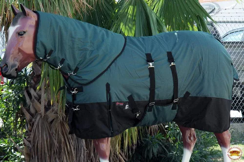 Vista 2 de HILASON Manta impermeable 1200D para caballos de invierno con cubierta para el cuello y envoltura para el vientre 74 pulgadas Hunter verde negro
