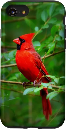 Vista 18 de Hermosa cardenal pájaro rojo escena de la naturaleza caso para iPhone 17