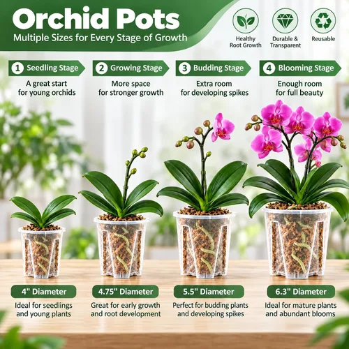 Vista 3 de Macetas de orquídeas transparentes, 4.75 pulgadas