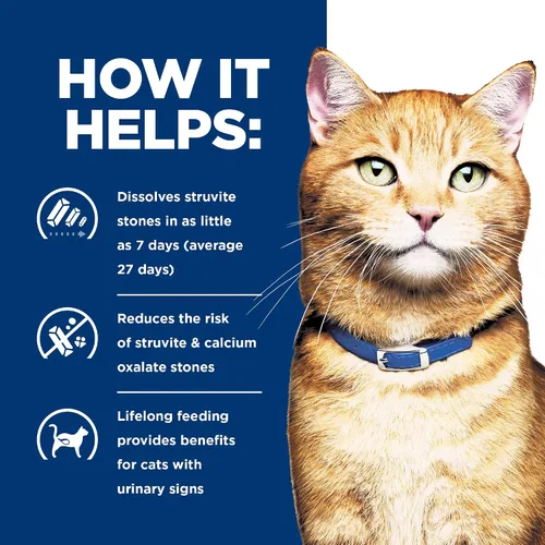 Vista 4 de Hills C/D Alimento para gatos, para la vejiga, múltiples cuidados, 4 lb
