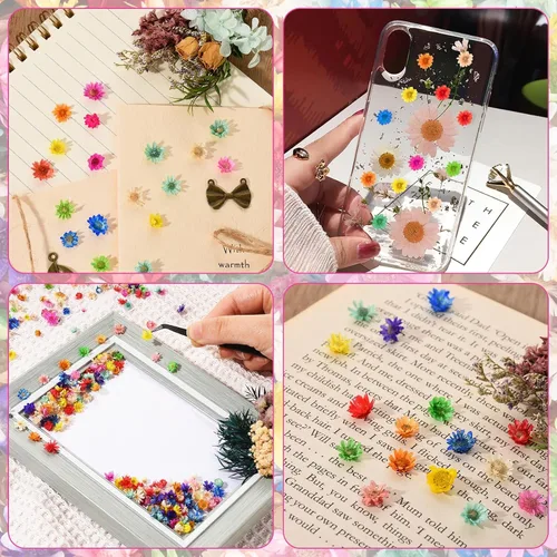 Vista 4 de 710 flores secas para manualidades de resina, pequeñas flores secas para uñas, flores secas prensadas pequeñas naturales reales para joyas, aretes