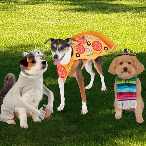 Vista 6 de Disfraz para mascotas de Halloween, colección clásica, L, Azul