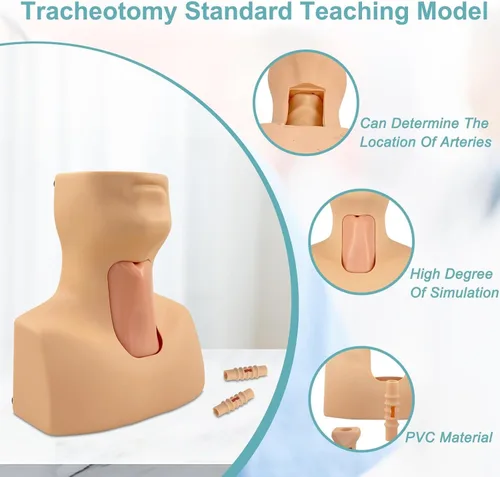 Vista 2 de Entrenador avanzado de traqueotomía simulador de traqueotomía de PVC para entrenamiento de cuidado de cricotirotomía y traqueotomía - Maniquí