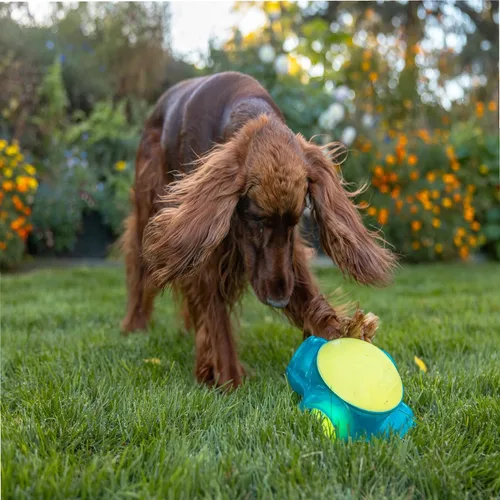 Vista 8 de Outward Hound Tennis Maze Craze - Juguete interactivo chillador para perros, azul Azul Tenis Maze Craze