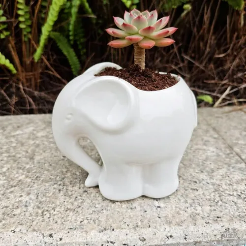Vista 6 de Maceta de cerámica con forma de elefante, bonito recipiente para suculentas/cactus en forma de animal para decoración del hogar (4 pulgadas, blanco)