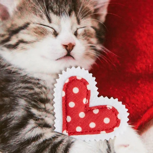 Vista 7 de NIQUEA.D, Foto Gatito Y Corazón Almohadas Tarjeta De San Valentín