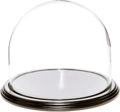 Vista 9 de Plymor Cúpula de cristal de 8 x 6.5 pulgadas (base de madera MDF negra)