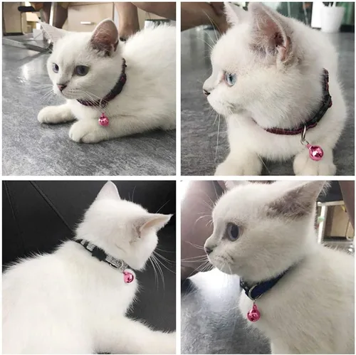 Vista 6 de 4 juegos de campanas de gato para collar de perro, accesorios colgantes de entrenamiento para mascotas con 2 clips de acero inoxidable para placa