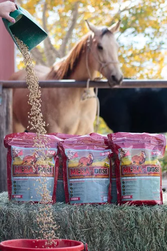Vista 2 de Mega Dosis de 10 libras, vitamina mineral equina con una porción completa de suplemento Horse Guard y protector de pezuñas