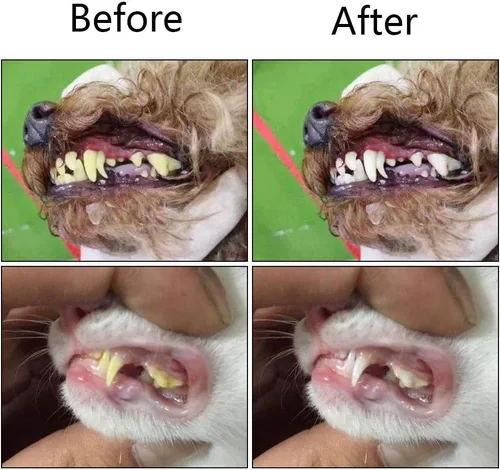 Vista 5 de Orgrimmar Cepillo de dientes para mascotas de 3 caras, 2 piezas, boca de Azul y naranja