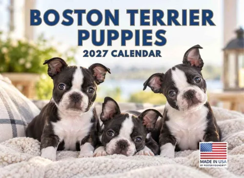 Vista 123 de Calendario mensual de pared Airedale Terrier Dog 2027 rojo (Airedale Terrier)