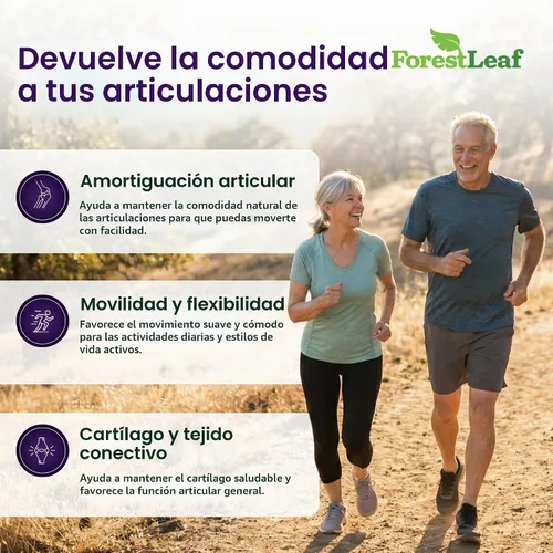 Vista 2 de ForestLeaf Glucosamina Condroitina MSM Complejo Suplemento Articular - 1200mg - 120 Cápsulas