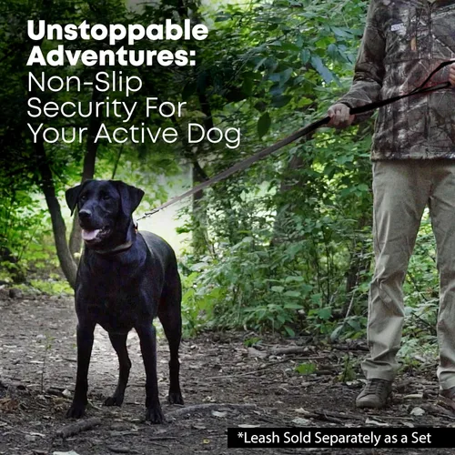 Vista 6 de Collar impermeable para perro con anillo central resistente Collar para perros pequeños, medianos, grandes o XL, Negro