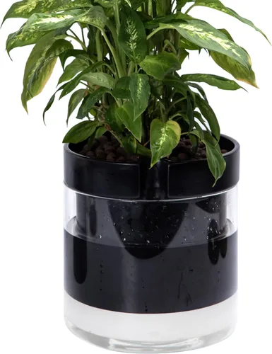 Vista 28 de Phoenix Vine Maceta de riego automático de 4 pulgadas, maceta de arcilla de terracota con depósito de vidrio para plantas de interior, hierbas