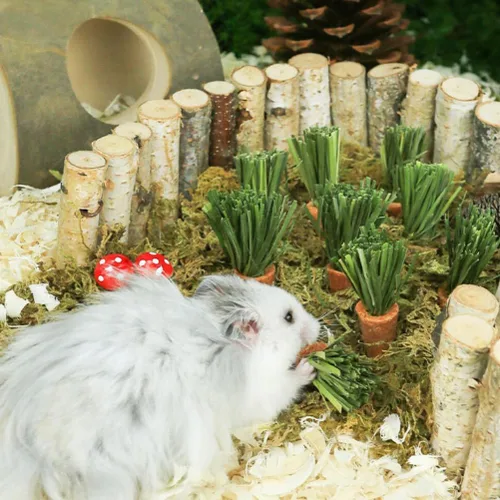 Vista 4 de GANAZONO Conejo masticable zanahorias animales pequeños palitos de dentición hámster masticar juguetes naturales cuidado dental mascota masticable