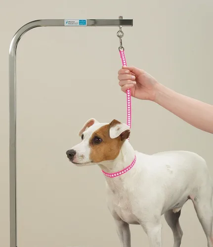 Vista 2 de Top Performance Lazos básicos de aseo - Bucles de nailon versátiles para asegurar a los perros en las mesas mientras se acicalan, 18 pulgadas